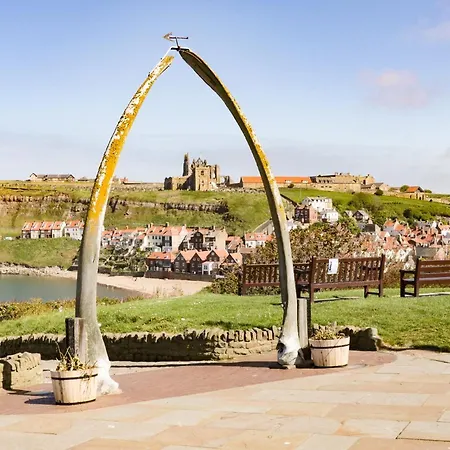 بيت للعطل Kiwi *